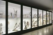 museo di anatomia comparata bologna 8-2022 4648